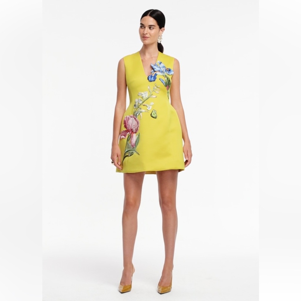 LEO LIN Bree V Neck Embroidery Mini Dress - Picture 6 of 12